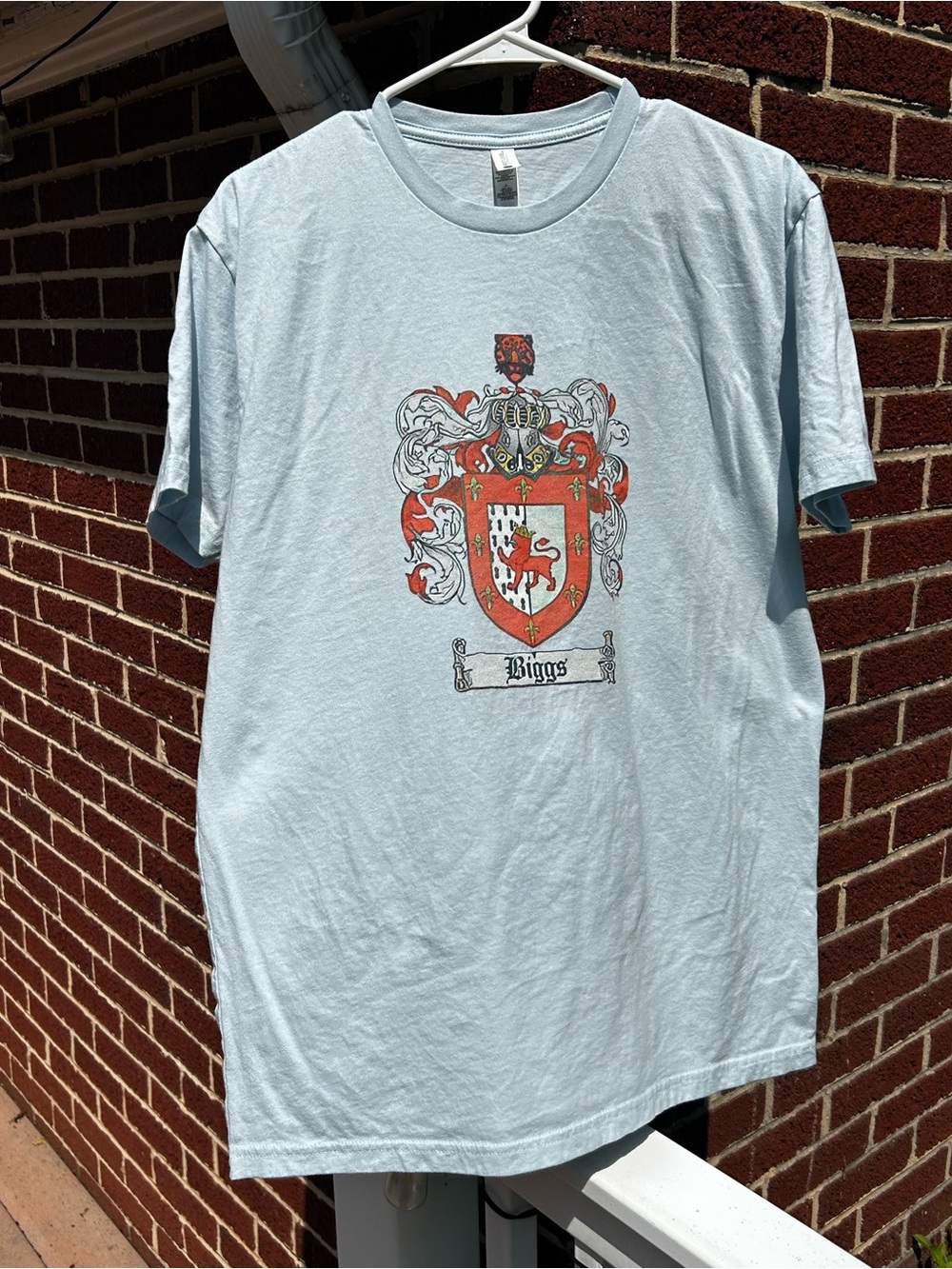 Next Level Apparel Light Blue T‑Shirt with Biggs Family Crest Graphic